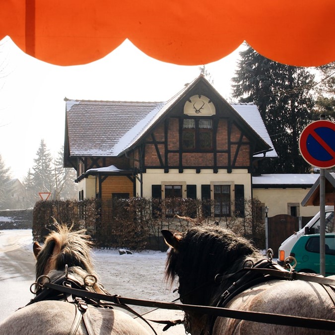 photo/Sachsen_Moritzburg_paarden_winter_sh - kopie-min.jpg